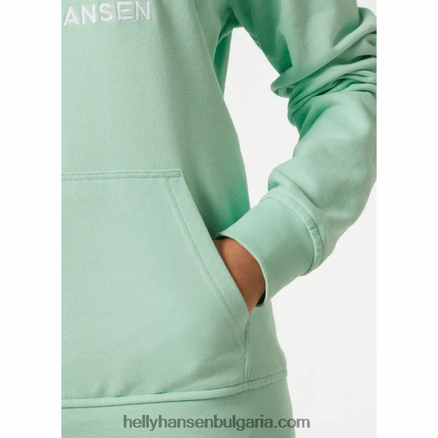 Жени дамска качулка с лого hh 80V22D1890 теракота Helly-Hansen