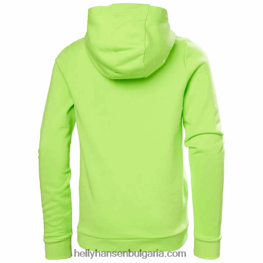 деца юношеска качулка с лого hh 2.0 80V22D2498 хедър/праскова ехо Helly-Hansen