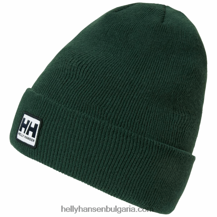 мъже градска шапка с маншет 80V22D1238 морошка Helly-Hansen