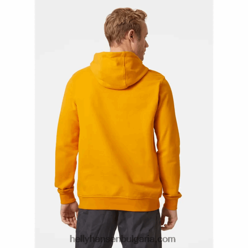 мъже мъжка качулка с лого hh 80V22D769 червен Helly-Hansen