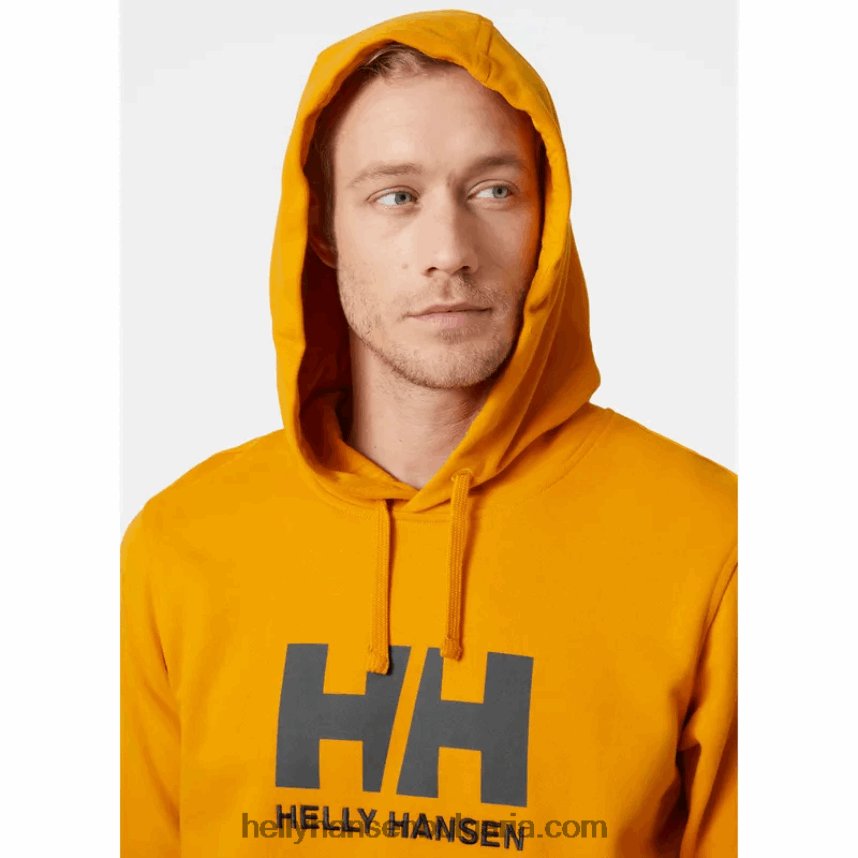 мъже мъжка качулка с лого hh 80V22D769 червен Helly-Hansen