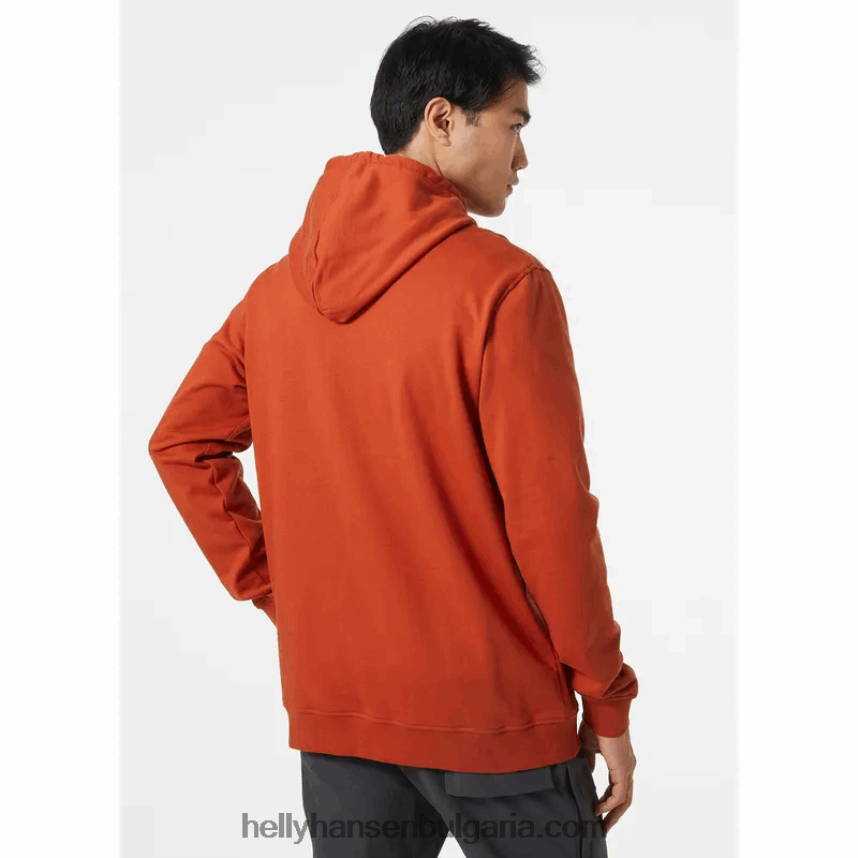 мъже мъжки суичър с качулка с графика nord 80V22D782 лав зелено Helly-Hansen