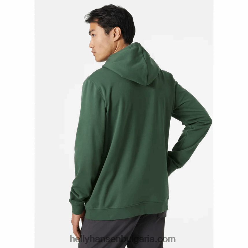 мъже мъжки суичър с качулка с графика nord 80V22D783 каньон Helly-Hansen