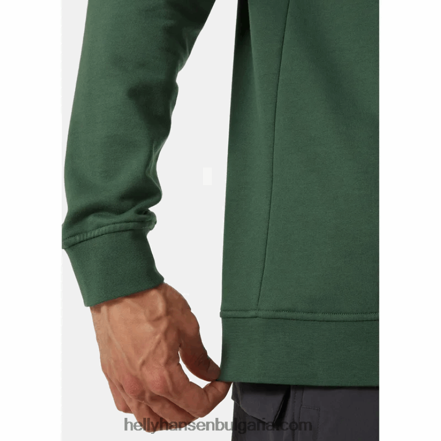 мъже мъжки суичър с качулка с графика nord 80V22D783 каньон Helly-Hansen