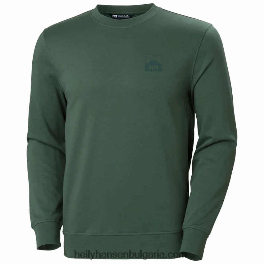 мъже мъжки суичър nord graphic crew 80V22D776 военноморски флот Helly-Hansen