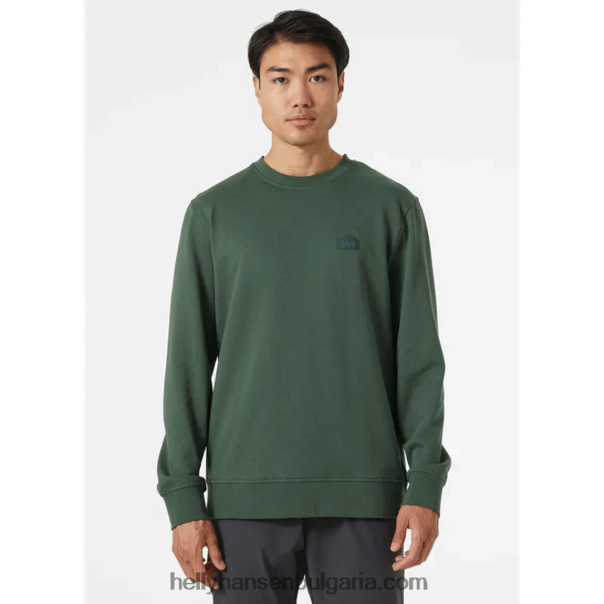 мъже мъжки суичър nord graphic crew 80V22D776 военноморски флот Helly-Hansen
