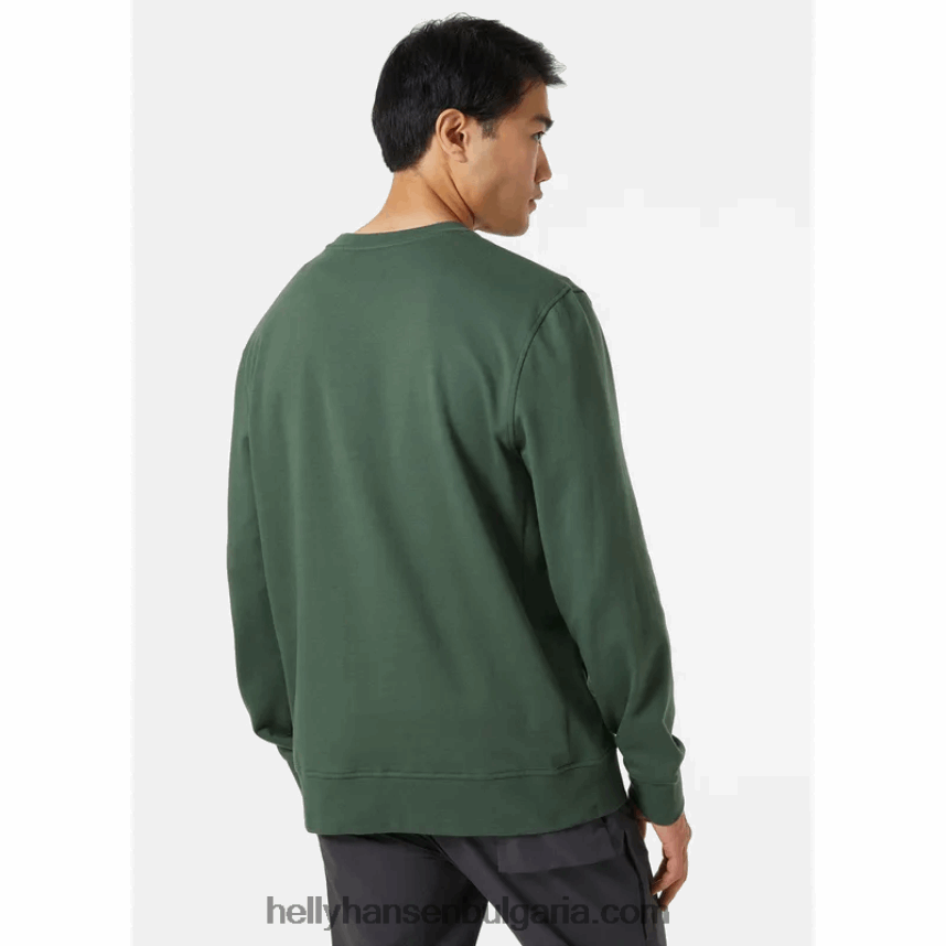 мъже мъжки суичър nord graphic crew 80V22D776 военноморски флот Helly-Hansen