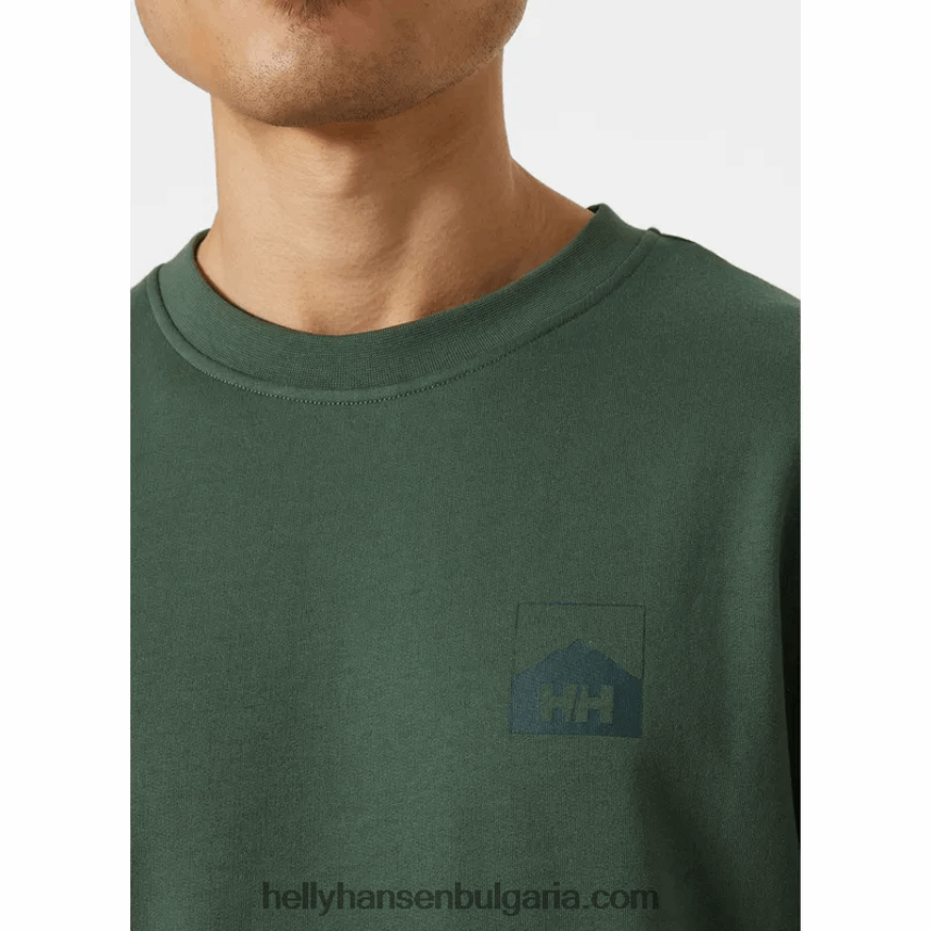 мъже мъжки суичър nord graphic crew 80V22D776 военноморски флот Helly-Hansen