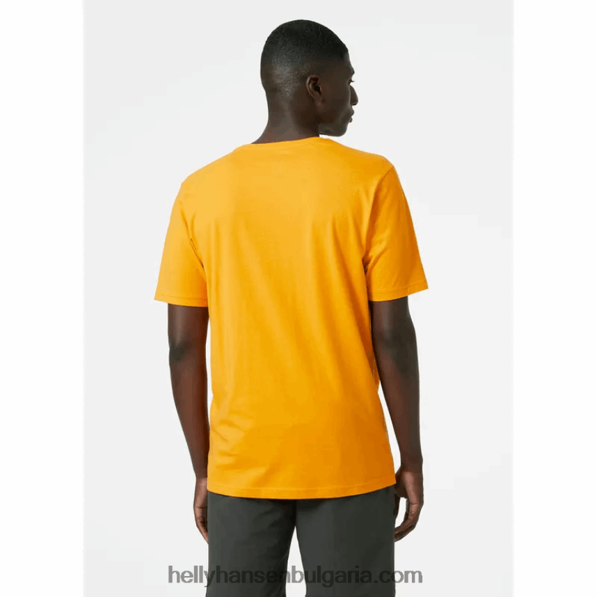 мъже мъжка тениска с лого hh 80V22D856 абанос мелан Helly-Hansen