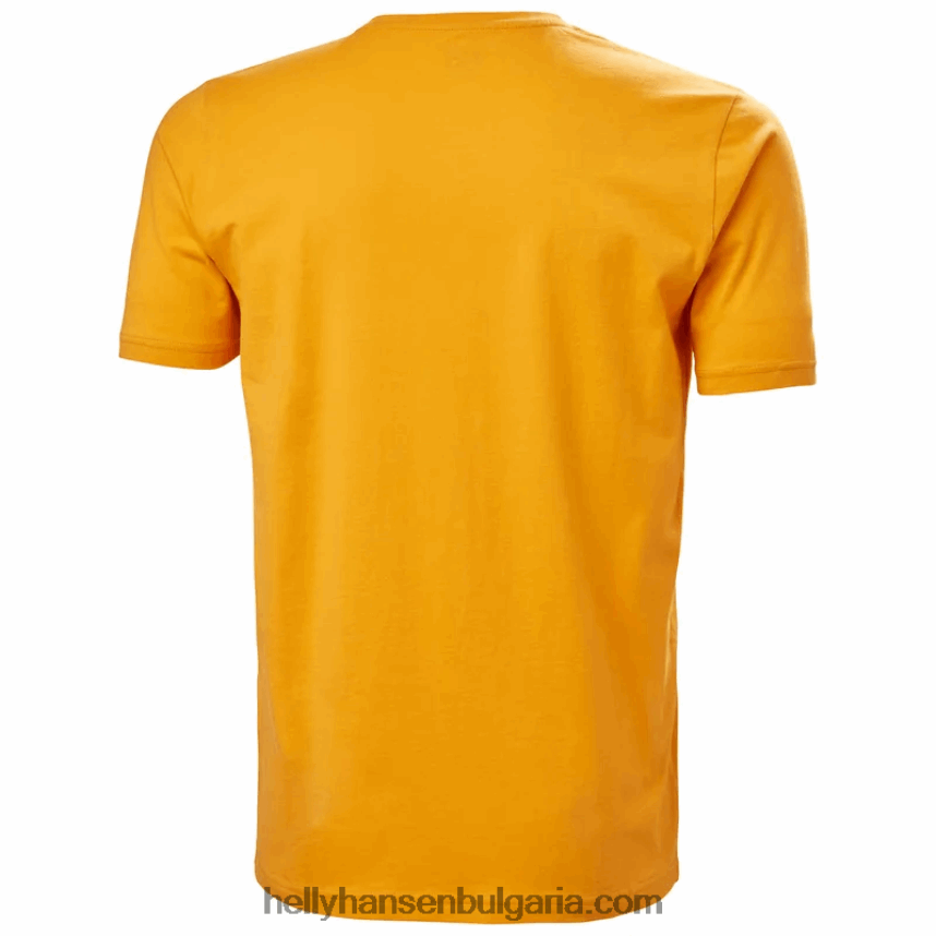 мъже мъжка тениска с лого hh 80V22D856 абанос мелан Helly-Hansen