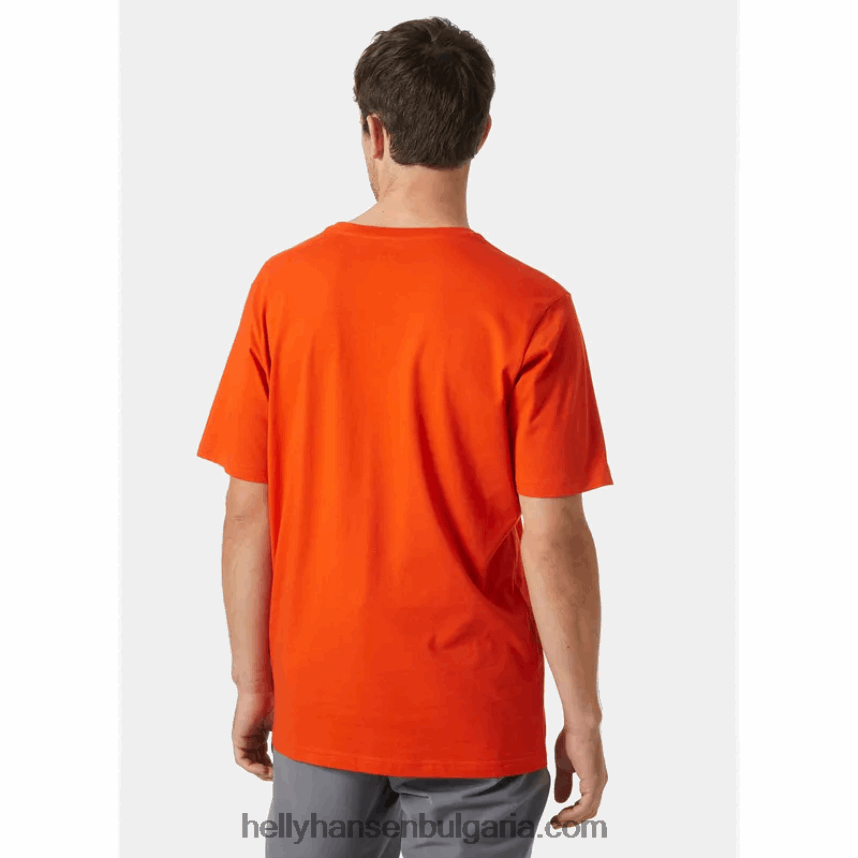 мъже мъжка тениска с лого hh 80V22D860 сив меланг Helly-Hansen